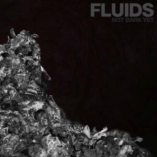 Fluids : Not Dark Yet